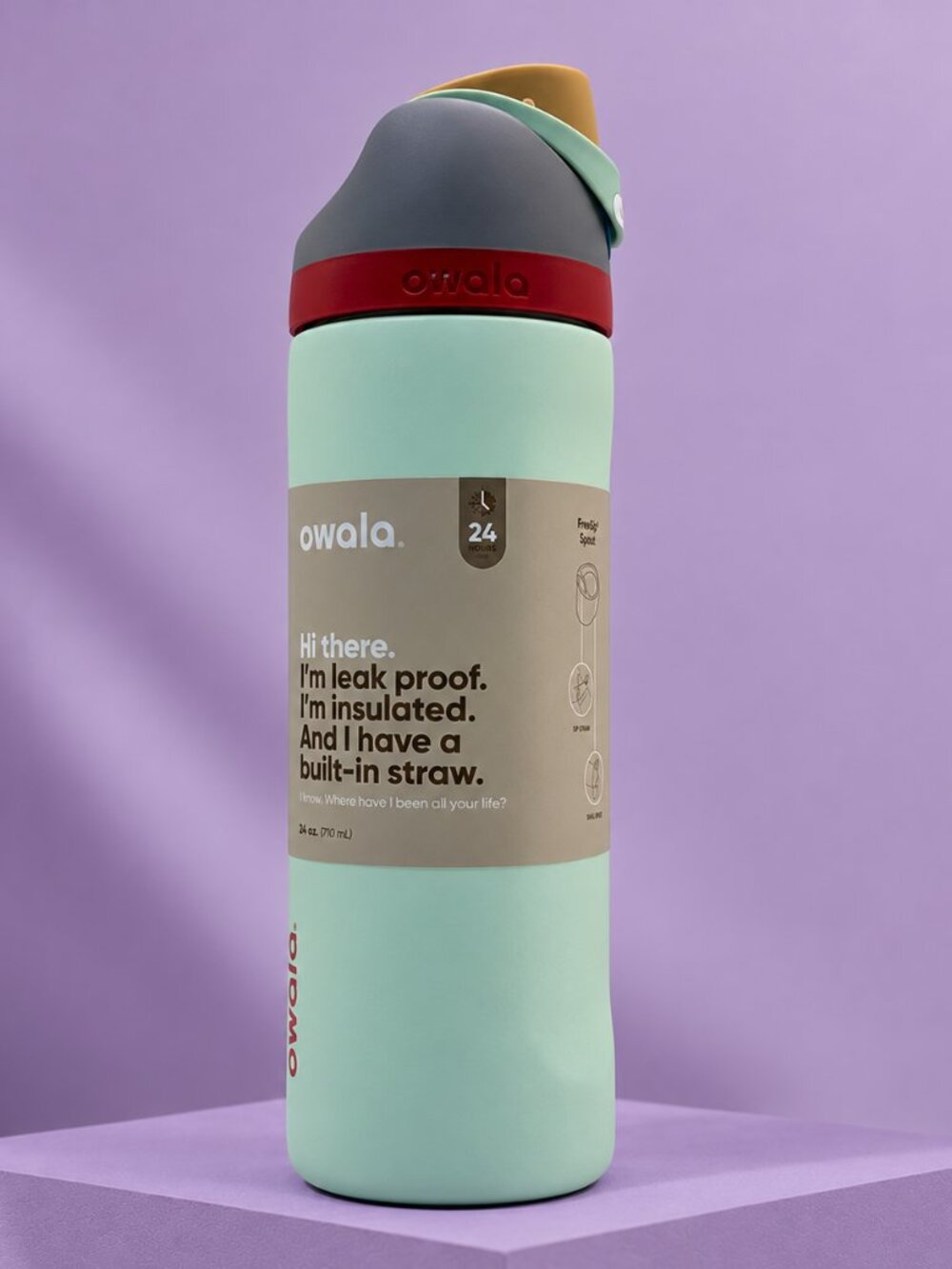 Owala 24oz Water Bottle Leakproof Insulated Straw Bottle